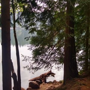 Meet your Posher, Loralai